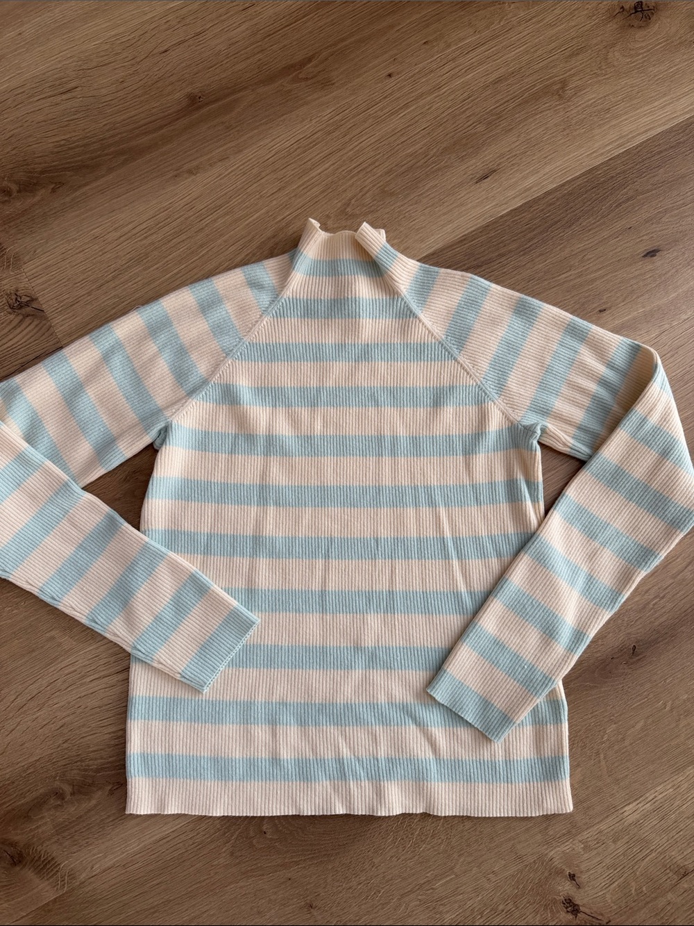 Maeve Blue and Cream Striped Turtleneck Sweater
